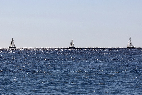 cruise14 (765)